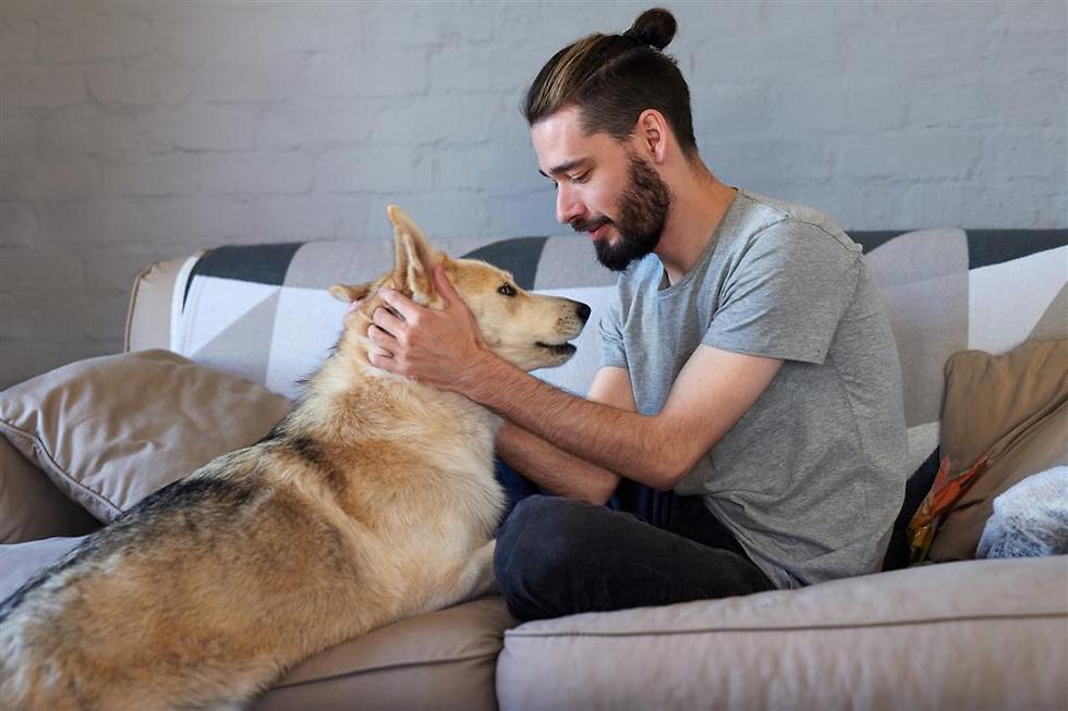 Помни собак. Man petting a.